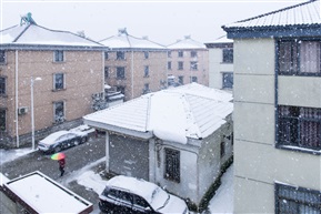冬雪未销