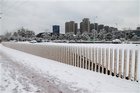雪1