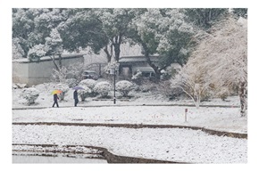 亭林小景