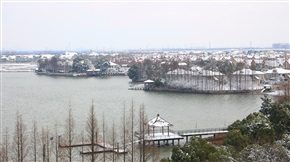富力湾的雪景（2）
