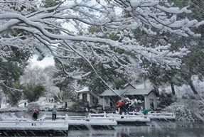 《瑞雪》
