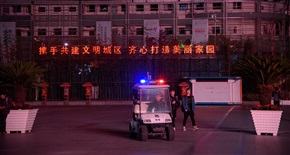 元旦我上班--《共建美丽家园》