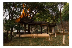 亭林小景