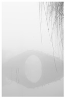 雾