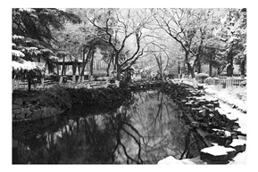 亭林小景