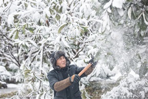 冬日除雪