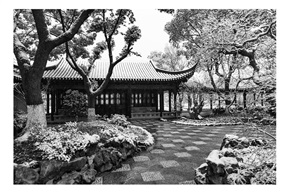 亭林小景