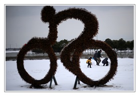 雪趣