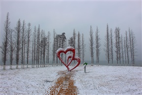 心之雪