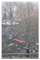 我为雪狂