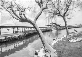 雪后长廊