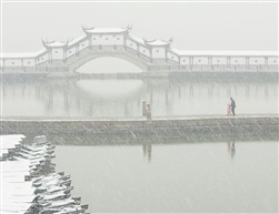 飞遍江南雪不寒