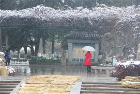 亭林雪景