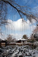 瑞雪兆丰年