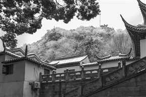 玉峰瑞雪