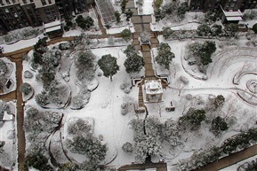 小区绿化地雪景