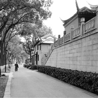 《一条路》