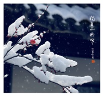 《凌寒独自开》