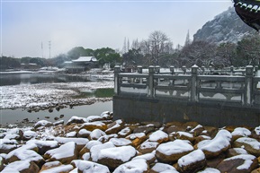 亭林小景
