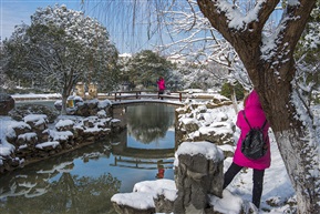 雪天的机遇