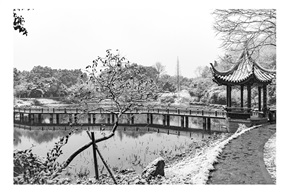 亭林小景