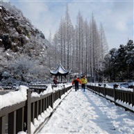 《春天在路上了》