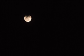 月之夜