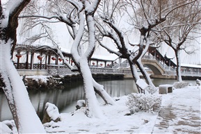 锦溪小景