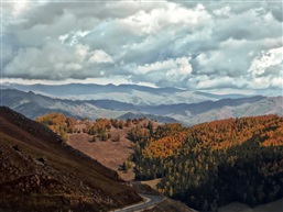喀纳斯群山