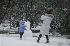 《雪中情》