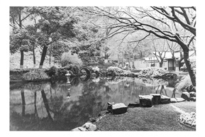 亭林小景