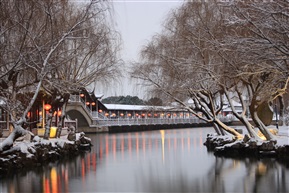 锦溪小景