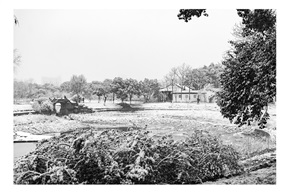 亭林小景