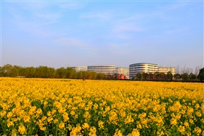 美在淀山湖