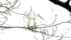 凝视