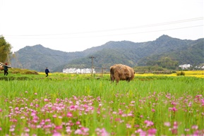 春天里
