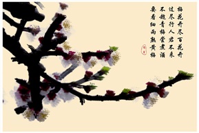 残梅