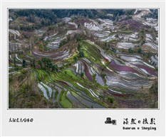 元阳老虎嘴梯田
