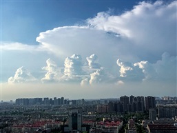 《观云识天》（113）