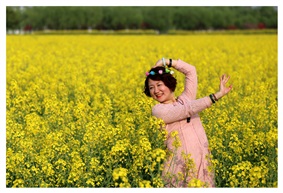 油菜花开1