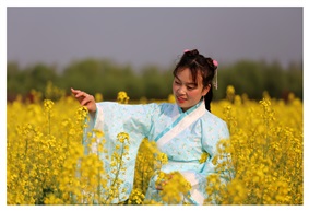 油菜花开2