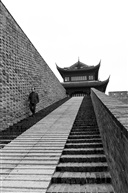 墙根