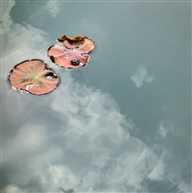 《宁静》