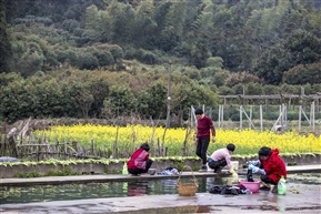 山沟里的风景