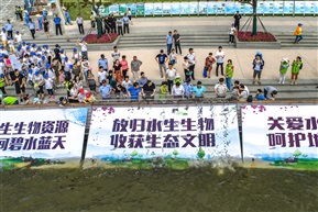 公众放流活动（27））