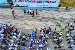 公众放流活动（6））