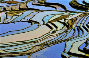 云南元阳行(048)