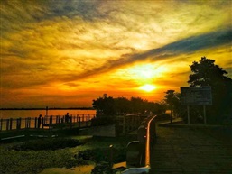 夕阳之恋2