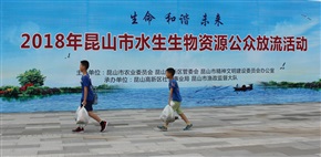 关爱生态从我做起