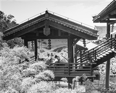 相聚竹园中